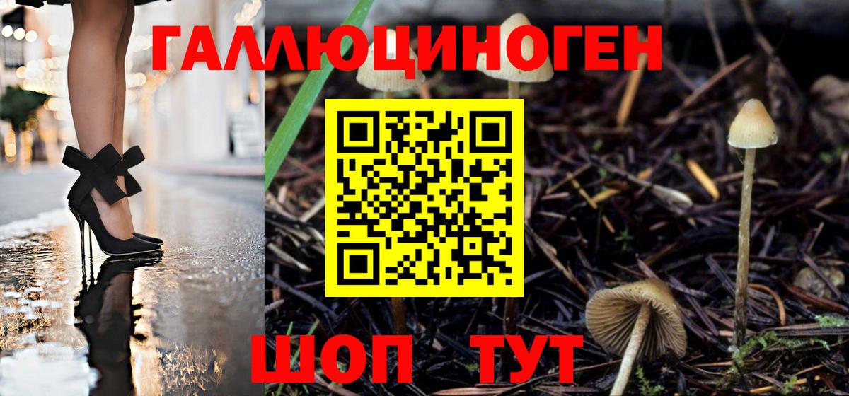 Алексин  Галлюциногенные грибы прущие грибы  Вход с VPN 